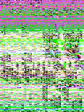 leenaboyxh online show from November 27, 4:31 pm