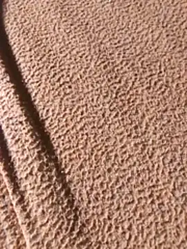 Snapshot of WillfulVideo chatting on February 7, 8:07 am WillfulVideo online show from February 7, 8:07 am