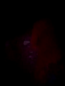 jacka 305 online show from November 22, 10:36 am