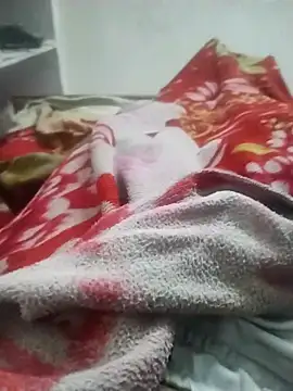 Snapshot of hyderabad_single chatting on November 23, 3:50 am hyderabad single online show from November 23, 3:50 am