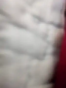 Tayanehot online show from April 12, 10:31 am