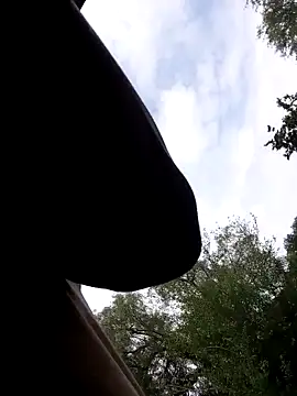 Mc02 online show from November 11, 12:38 pm