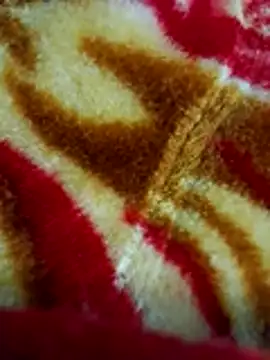 sangeeta lodhi online show from November 28, 6:10 pm