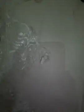 dalou3a22 online show from December 20, 12:18 am