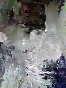 Junior 47 online show from November 16, 8:31 am