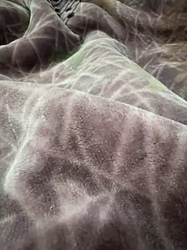 Afganiboy online show from February 4, 1:50 pm