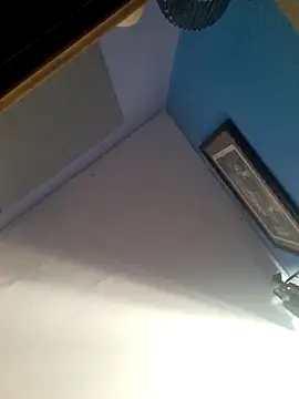 Snapshot of monalily chatting on November 24, 4:40 pm monalily online show from November 24, 4:40 pm