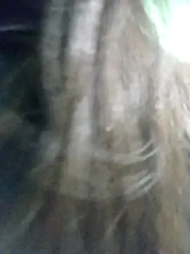 Snapshot of Disha_Nur0 chatting on February 7, 8:45 pm Disha Nur0 online show from February 7, 8:45 pm