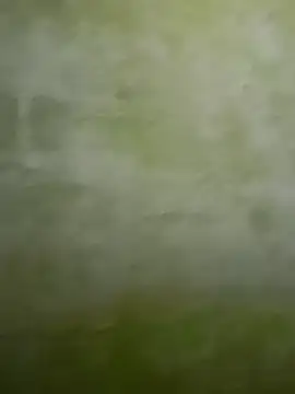 Snapshot of Uplk chatting on November 17, 11:49 am Uplk online show from November 17, 11:49 am