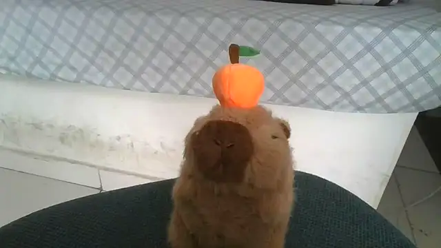 Satanatrix online show from February 9, 1:04 pm