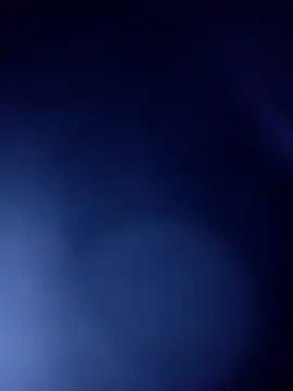 Martins2444 online show from November 24, 8:14 am