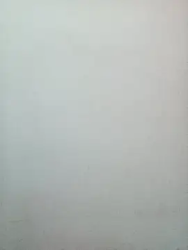 Reema 143 online show from February 2, 3:11 pm