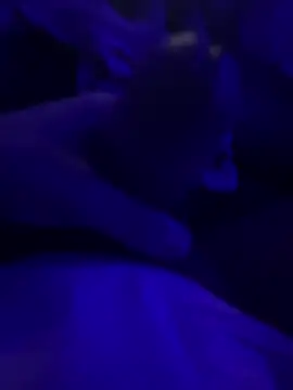 darknebula80 online show from February 25, 12:31 am