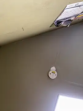 24denio online show from March 7, 1:52 pm