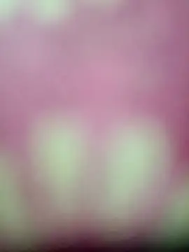 Nandani-758 online show from January 17, 4:11 pm