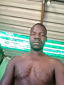 pdck2025 online show from November 22, 6:56 am