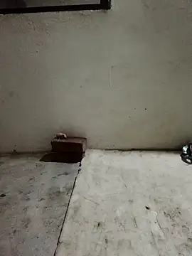 Sunenabhabh online show from April 5, 10:18 pm