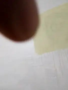 paoandjoe1010 online show from November 22, 11:42 am