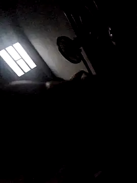 Snapshot of 277T chatting on December 23, 4:21 am 277T online show from December 23, 4:21 am