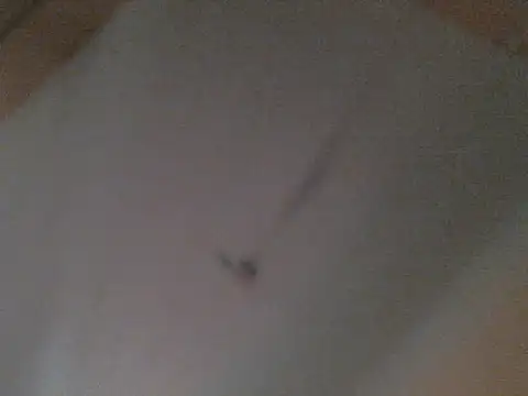 Snapshot of BellahG90 chatting on November 22, 1:54 pm BellahG90 online show from November 22, 1:54 pm