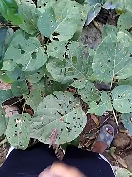 desi alpha boy online show from January 17, 1:54 am