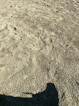 ratemydickbabe online show from December 1, 9:36 am