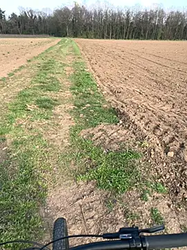 marconordic online show from March 21, 3:04 pm