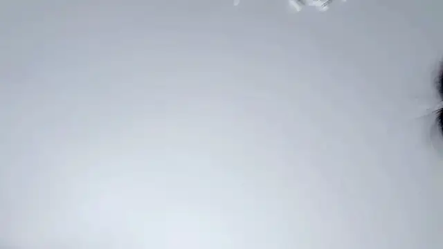 Celestisse- online show from November 29, 5:54 am