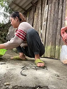 Thaoem online show from December 4, 5:28 am