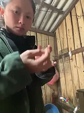 Thaoem online show from December 18, 4:29 am