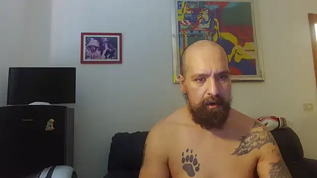 Snapshot of AMIRDIB2025 chatting on June 17, 10:50 am AMIRDIB2025 online show from June 17, 10:50 am