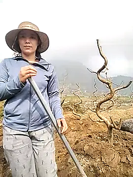 Alibabapi online show from March 25, 2:17 am