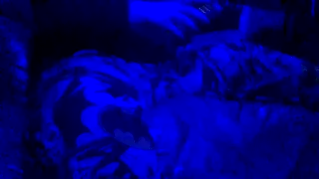 joshbrown699 online show from November 30, 5:11 am