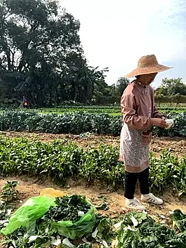 A-ZJunn online show from January 12, 6:18 am