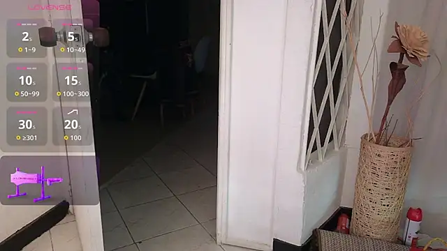 Snapshot of Saly_Moon1 chatting on December 13, 8:47 pm Saly Moon1 online show from December 13, 8:47 pm