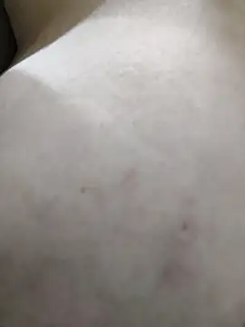 palomitka online show from February 11, 5:45 am