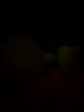 Davvidsm online show from January 19, 7:01 am