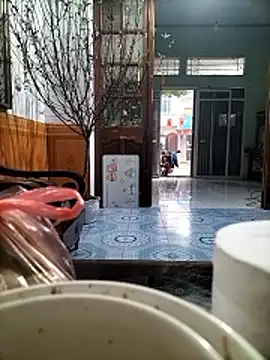 Nor6868 online show from February 14, 1:46 am