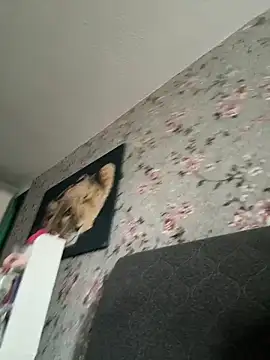 Alexmarcov online show from April 3, 10:35 am