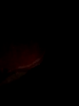 pritiqueen1001 online show from December 13, 8:58 pm