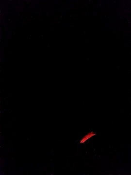 leobct555 online show from March 22, 3:10 am