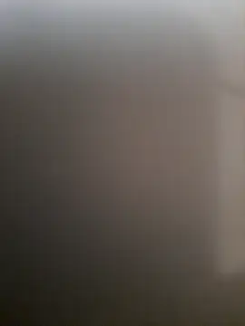 piedic online show from March 3, 10:21 am