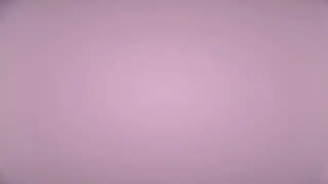 LexiMoss online show from April 17, 2:09 pm