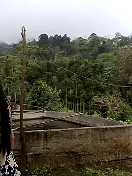  CTMay 77 online show from April 1, 4:02 am