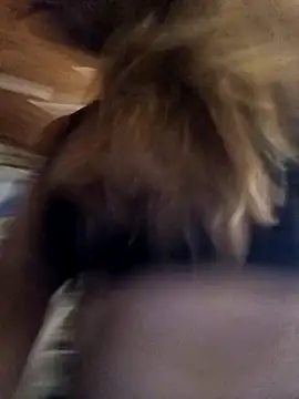 cari75 online show from February 3, 2:53 am