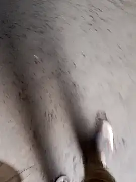 Nick universal online show from February 28, 1:06 am