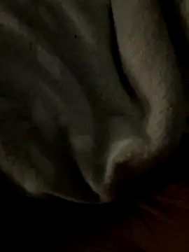 kb20sss online show from December 14, 12:27 am