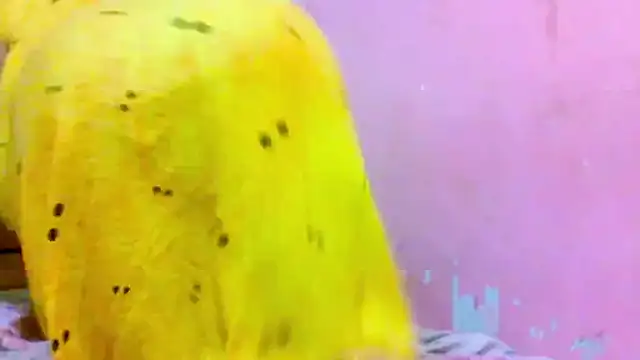 kondi Bula4 online show from December 19, 11:39 am