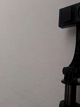 Snapshot of alevlibayan chatting on December 16, 9:58 am alevlibayan online show from December 16, 9:58 am