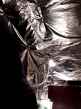 Quebec46 online show from February 20, 10:10 pm